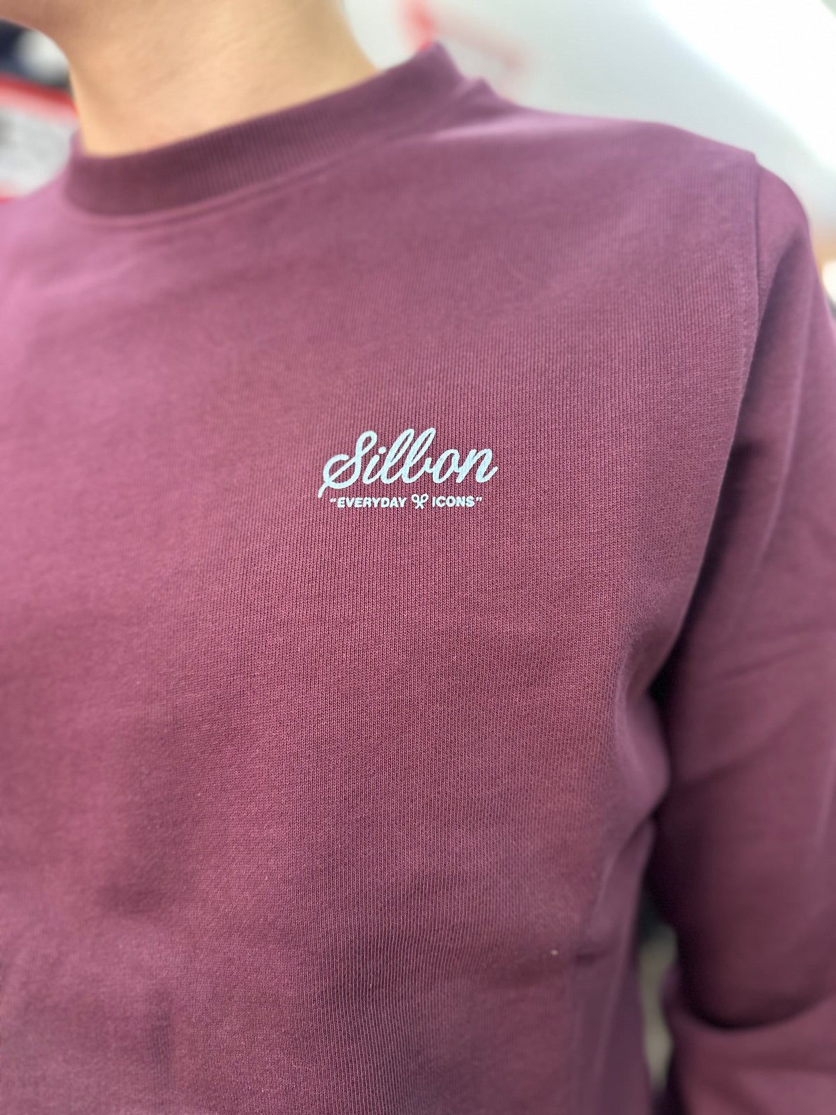 Sudadera Silbon berenjena con logo en la espalda azul