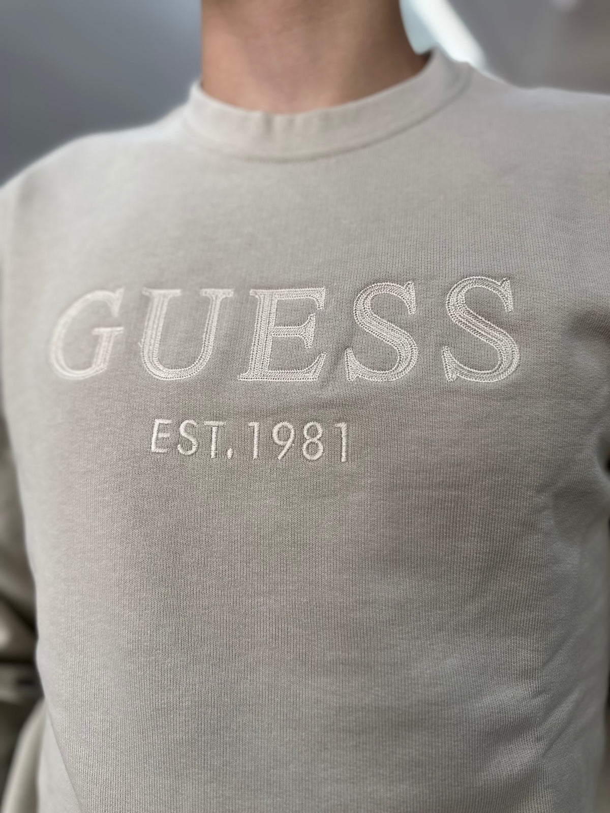 Sudadera Guess cruda logo bordado