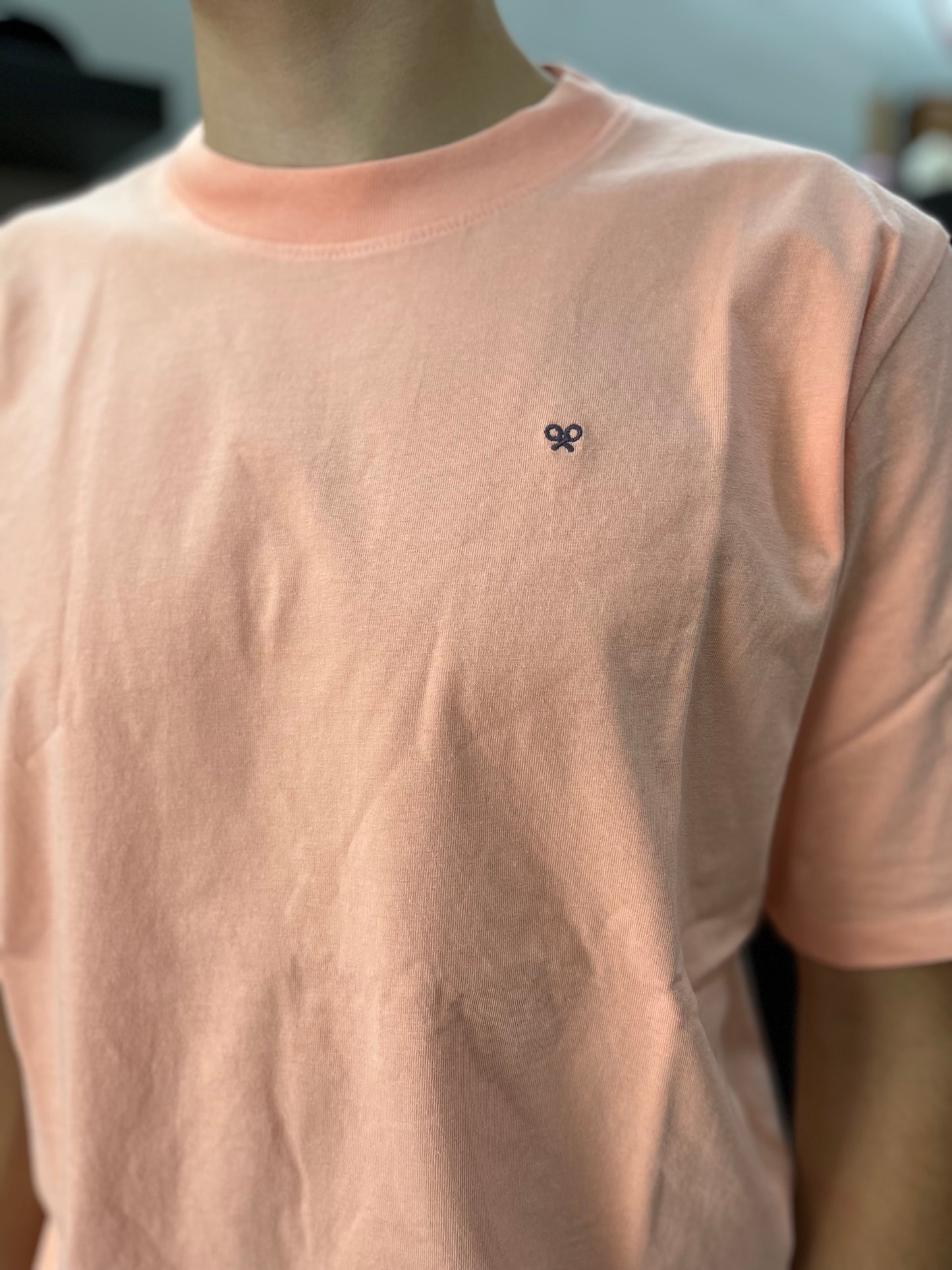 Camiseta Silbon over special fit logo espalda Salmón