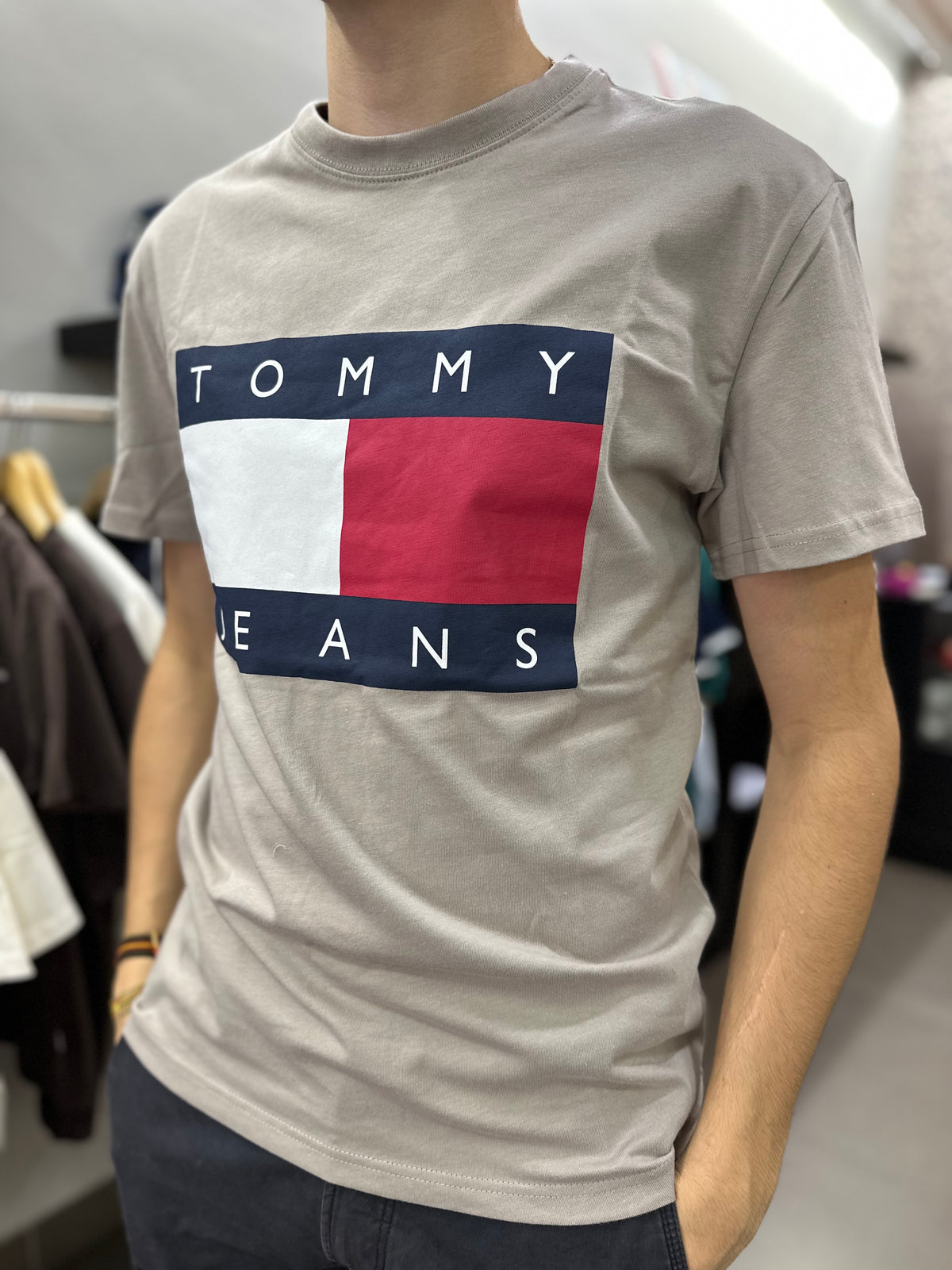 Camiseta Tommy TAUPE logo bandera grande