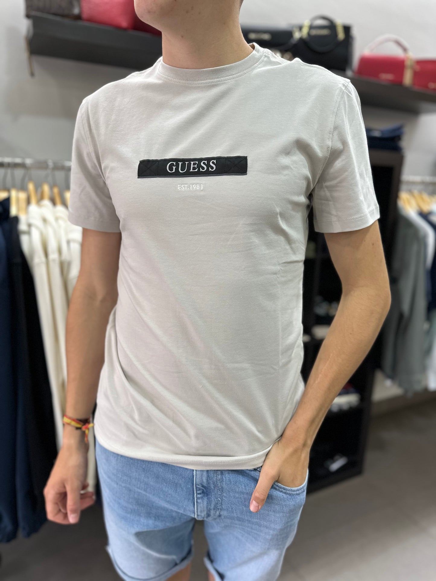 CAMISETA GUESS GRIS SLIM