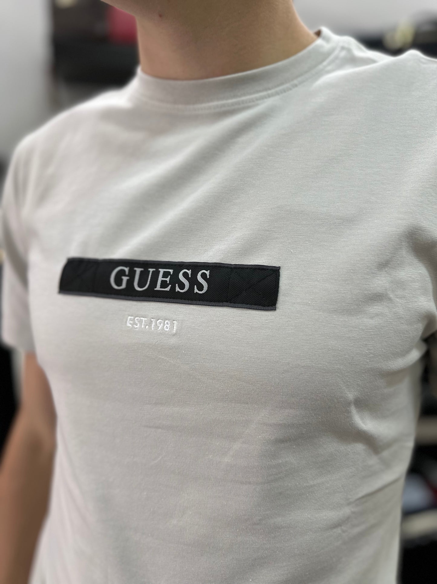 CAMISETA GUESS GRIS SLIM
